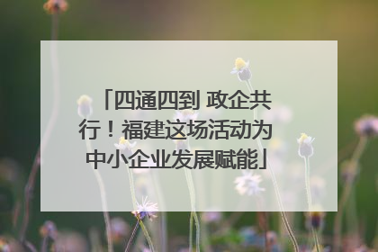 四通四到 政企共行！福建这场活动为中小企业发展赋能