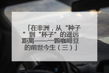 在非洲，从“种子”到“杯子”的遥远距离——一颗咖啡豆的前世今生（三）