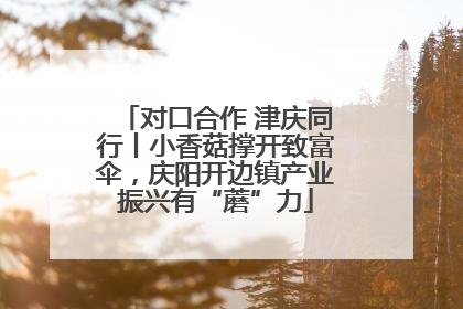 对口合作 津庆同行丨小香菇撑开致富伞，庆阳开边镇产业振兴有“蘑”力