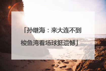 孙继海：来大连不到梭鱼湾看场球挺遗憾