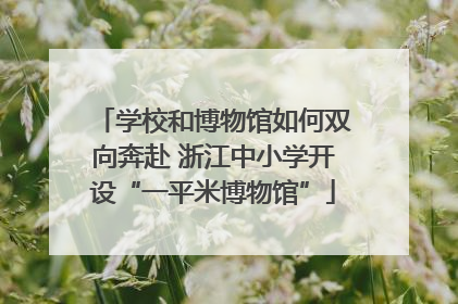 学校和博物馆如何双向奔赴 浙江中小学开设“一平米博物馆”