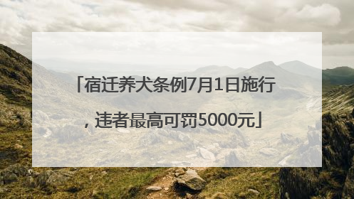 宿迁养犬条例7月1日施行，违者最高可罚5000元