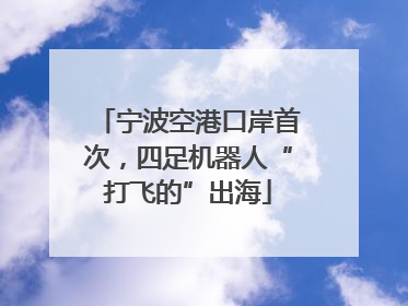 宁波空港口岸首次，四足机器人“打飞的”出海