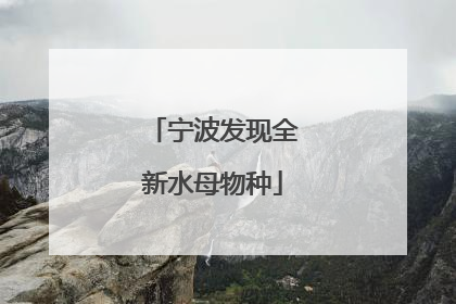 宁波发现全新水母物种