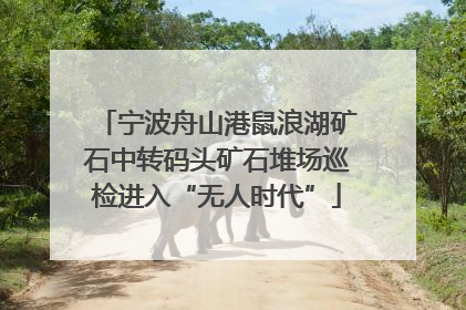 宁波舟山港鼠浪湖矿石中转码头矿石堆场巡检进入“无人时代”