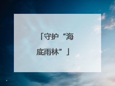 守护“海底雨林”