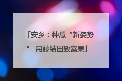 安乡：种瓜“新姿势” 吊藤结出致富果