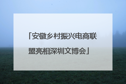 安徽乡村振兴电商联盟亮相深圳文博会