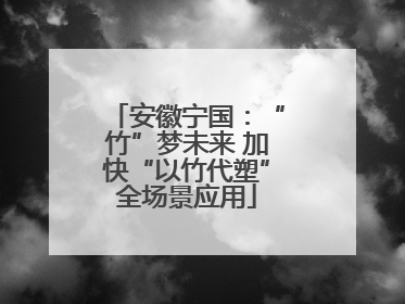 安徽宁国：“竹”梦未来 加快“以竹代塑”全场景应用