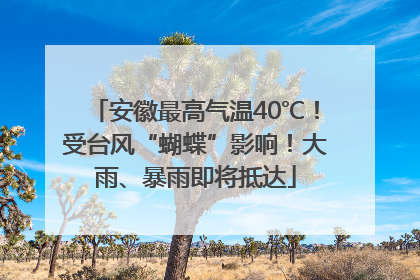 安徽最高气温40℃！受台风“蝴蝶”影响！大雨、暴雨即将抵达