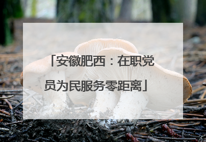 安徽肥西：在职党员为民服务零距离