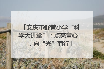 安庆市舒巷小学“科学大讲堂”：点亮童心，向“光”而行