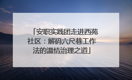 安职实践团走进西苑社区：解码六尺巷工作法的温情治理之道