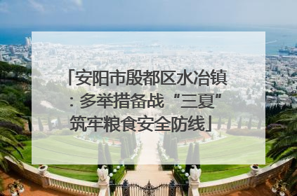 安阳市殷都区水冶镇：多举措备战“三夏” 筑牢粮食安全防线