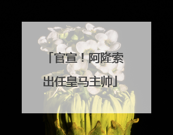 官宣！阿隆索出任皇马主帅