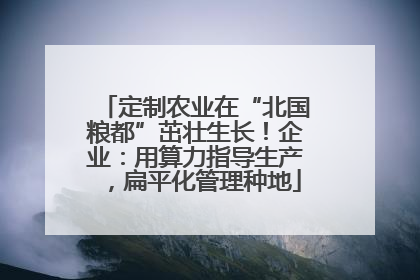 定制农业在“北国粮都”茁壮生长！企业：用算力指导生产，扁平化管理种地