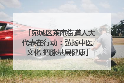 宛城区茶庵街道人大代表在行动：弘扬中医文化 把脉基层健康