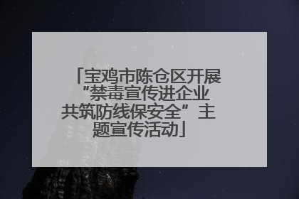 宝鸡市陈仓区开展“禁毒宣传进企业 共筑防线保安全”主题宣传活动