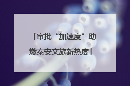审批“加速度”助燃泰安文旅新热度