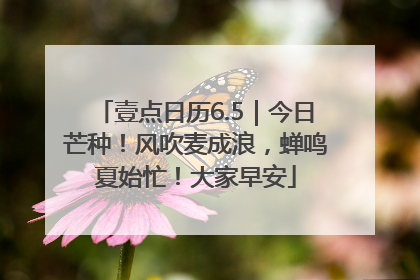 壹点日历6.5｜今日芒种！风吹麦成浪，蝉鸣夏始忙！大家早安
