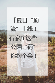 夏日“顶流”上线！石家庄这些公园“荷”你约个会！