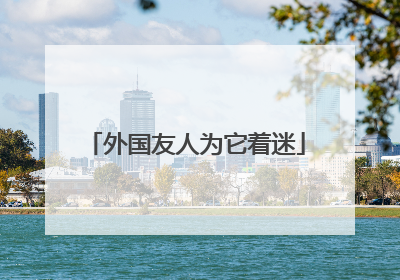 外国友人为它着迷