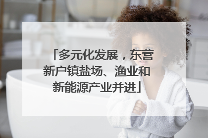 多元化发展，东营新户镇盐场、渔业和新能源产业并进