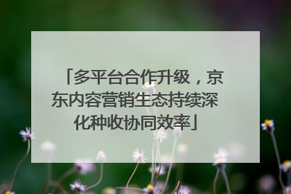 多平台合作升级，京东内容营销生态持续深化种收协同效率