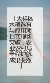 大祥区水稻选育与应用项目实现新突破，农业农村局全程护航成果斐然