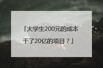 大学生200元的成本干了20亿的项目？