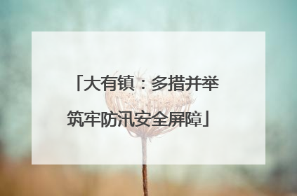 大有镇：多措并举筑牢防汛安全屏障