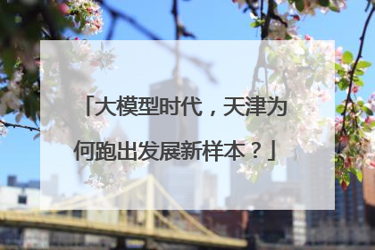 大模型时代，天津为何跑出发展新样本？