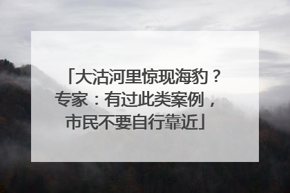 大沽河里惊现海豹？专家：有过此类案例，市民不要自行靠近