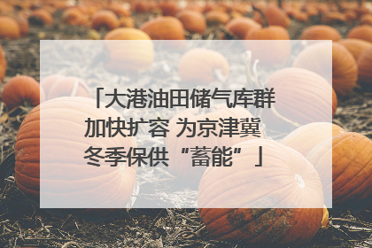 大港油田储气库群加快扩容 为京津冀冬季保供“蓄能”