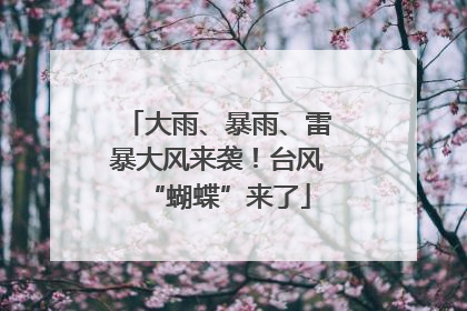 大雨、暴雨、雷暴大风来袭！台风“蝴蝶”来了