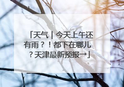 天气｜今天上午还有雨？！都下在哪儿？天津最新预报→