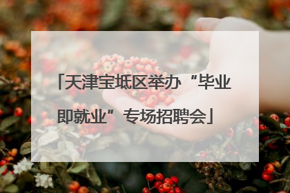 天津宝坻区举办“毕业即就业”专场招聘会