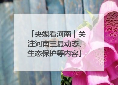 央媒看河南｜关注河南三夏动态、生态保护等内容