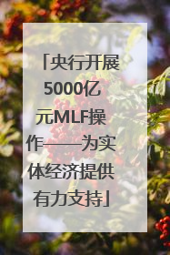 央行开展5000亿元MLF操作——为实体经济提供有力支持