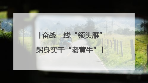 奋战一线“领头雁” 躬身实干“老黄牛”