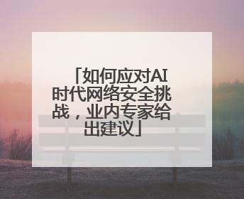 如何应对AI时代网络安全挑战，业内专家给出建议