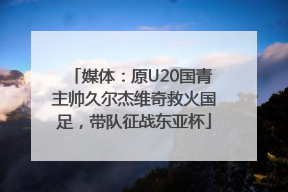 媒体：原U20国青主帅久尔杰维奇救火国足，带队征战东亚杯