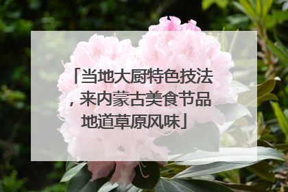 当地大厨特色技法，来内蒙古美食节品地道草原风味