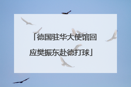 德国驻华大使馆回应樊振东赴德打球