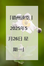 德州速览丨2025年5月26日 星期一