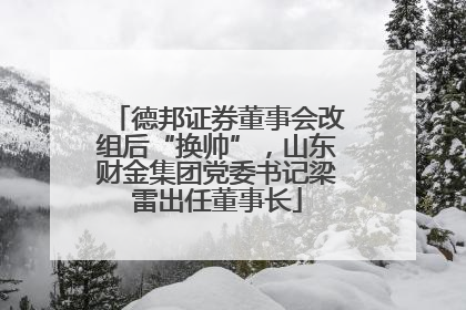 德邦证券董事会改组后“换帅”，山东财金集团党委书记梁雷出任董事长