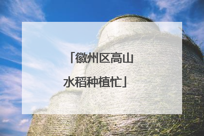 徽州区高山水稻种植忙