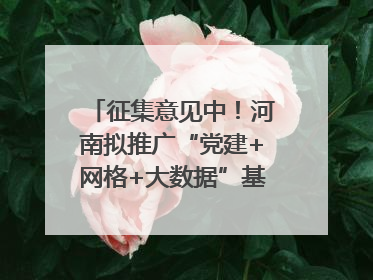 征集意见中！河南拟推广“党建+网格+大数据”基层治理模式
