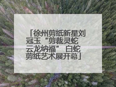 徐州剪纸新星刘冠玉“剪裁灵蛇 云龙纳福” 白蛇剪纸艺术展开幕