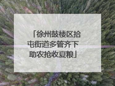 徐州鼓楼区拾屯街道多管齐下助农抢收夏粮